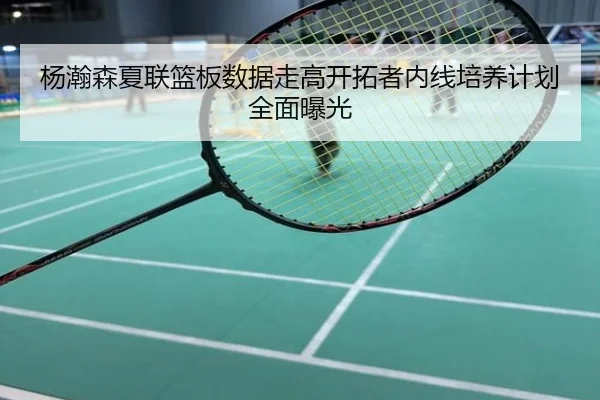 杨瀚森夏联篮板数据走高开拓者内线培养计划全面曝光