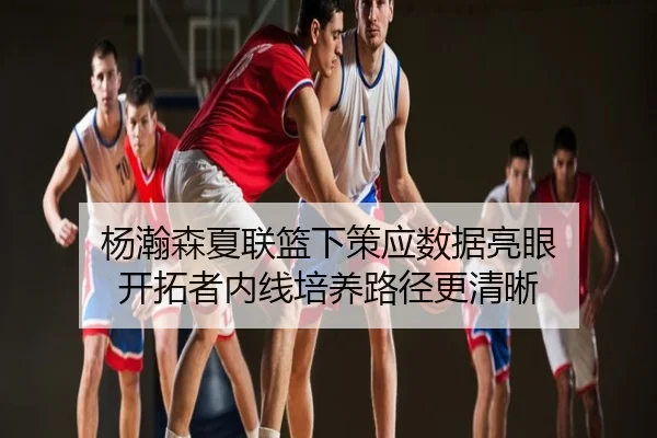 杨瀚森夏联篮下策应数据亮眼 开拓者内线培养路径更清晰