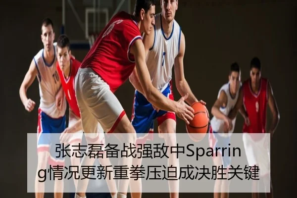 张志磊备战强敌中Sparring情况更新重拳压迫成决胜关键